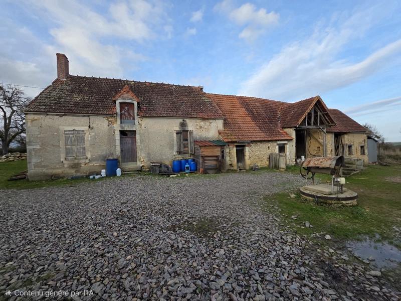 Vente Maison REZAY - 3 pièces -40 m² - (18170)