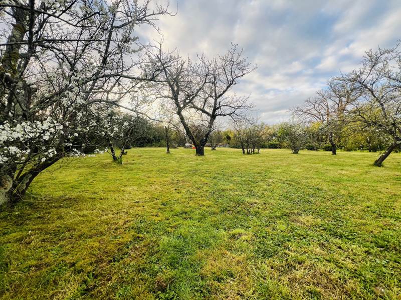 Vente Maison LE CHATELET - 5 pièces -100 m² - (18170)