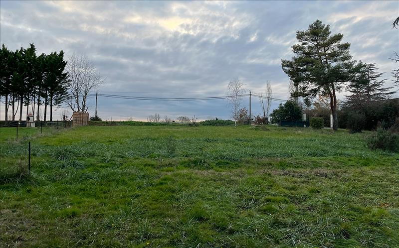 Vente Terrain VILLENEUVE LES BOULOC - -954 m² - (31620)