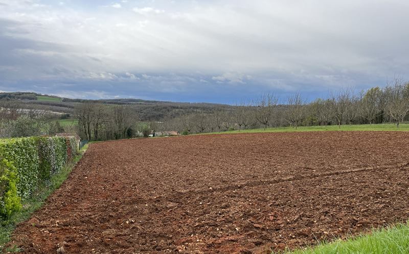 Terrain constructible à Saint-Martial-d'Albarède