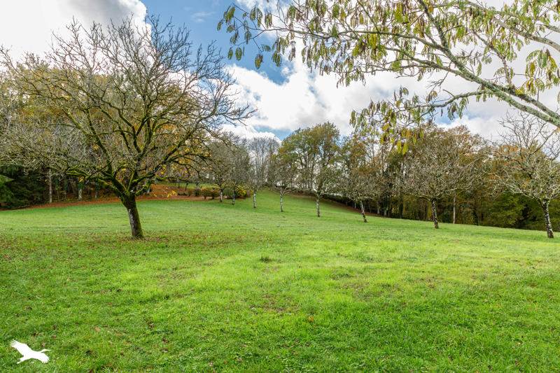 Vente Maison TOURTOIRAC - 6 pièces -116 m² - (24390)