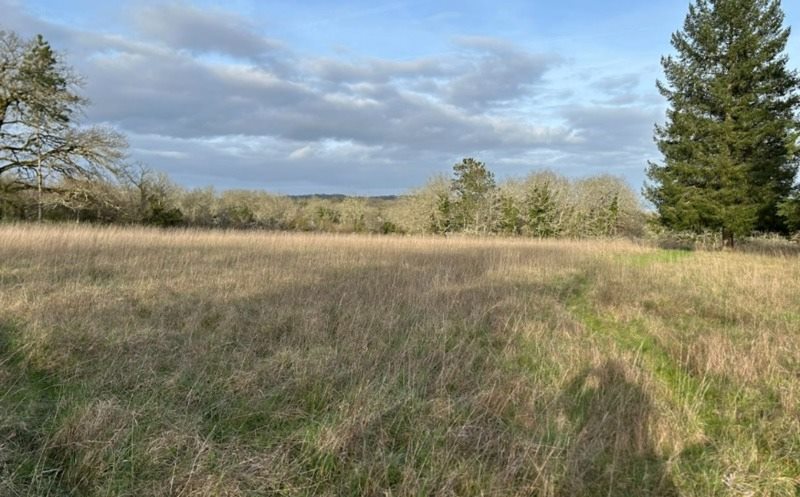 Terrain constructible à Bassillac et Auberoche