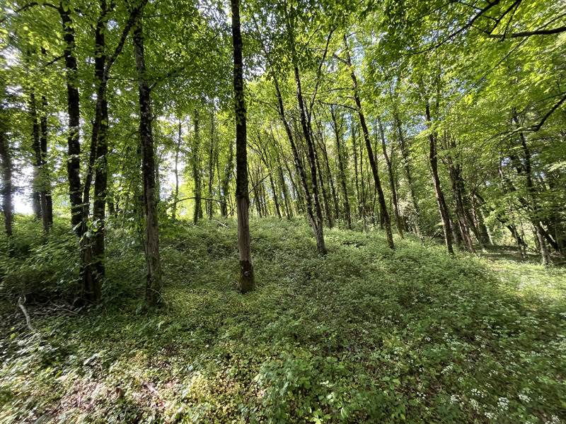 Vente Maison SAVIGNAC LEDRIER - 3 pièces -65 m² - (24270)