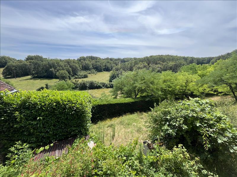 Vente Maison SAVIGNAC DE MIREMONT - 3 pièces -60 m² - (24260)