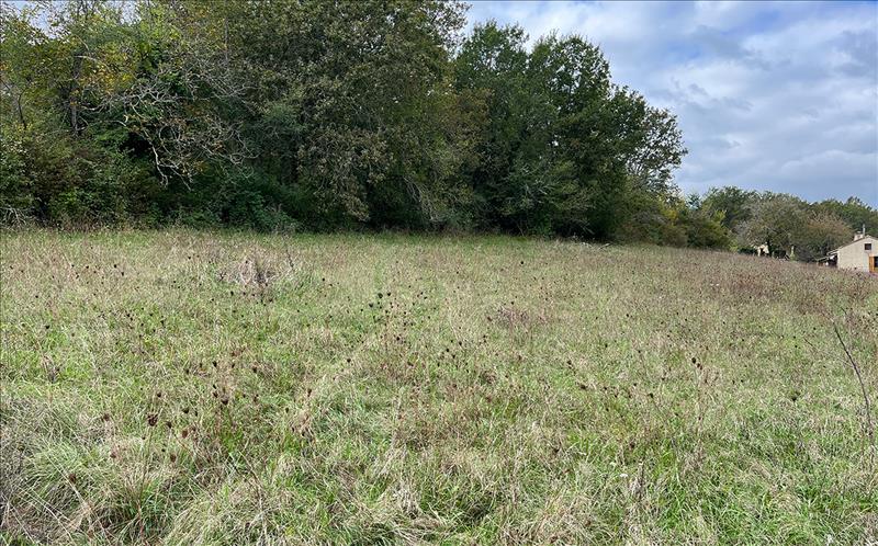 Vente Terrain LE BUISSON DE CADOUIN - -2258 m² - (24480)