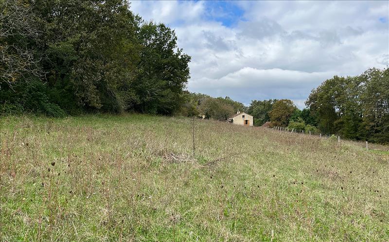 Vente Terrain LE BUISSON DE CADOUIN - -2258 m² - (24480)