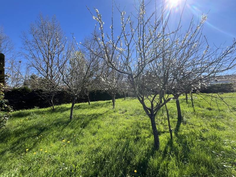 Vente Maison LE BUISSON DE CADOUIN - 5 pièces -99 m² - (24480)