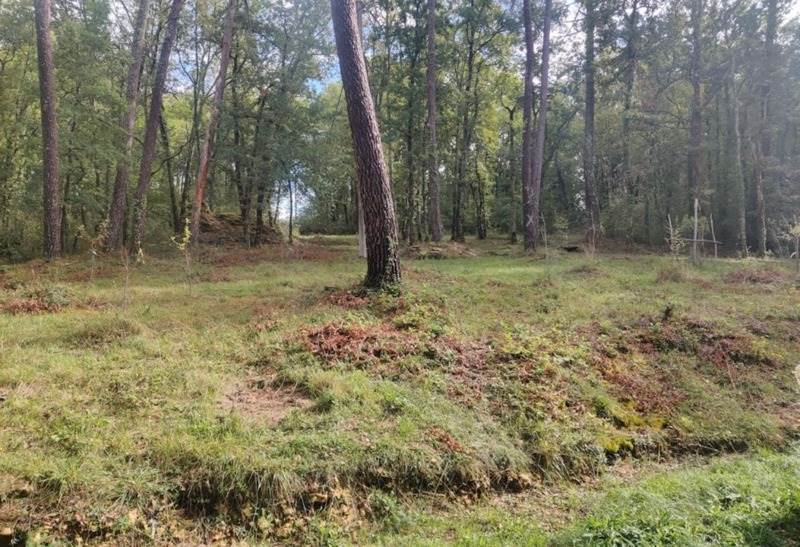 Vente Maison LE BUGUE - 7 pièces -88 m² - (24260)