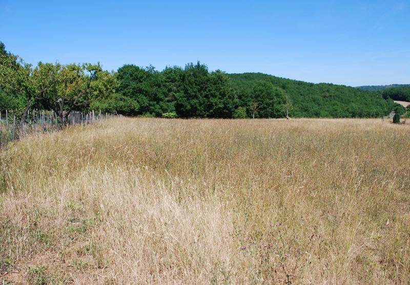 Vente Terrain CALES - -2539 m² - (24150)