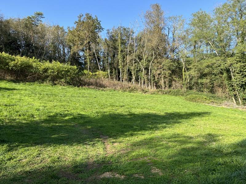 Vente Terrain MAUZAC ET GRAND CASTANG - -2538 m² - (24150)
