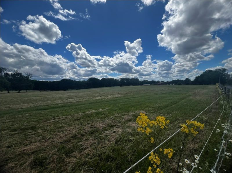 Vente Terrain CAUSE DE CLERANS - -10302 m² - (24150)