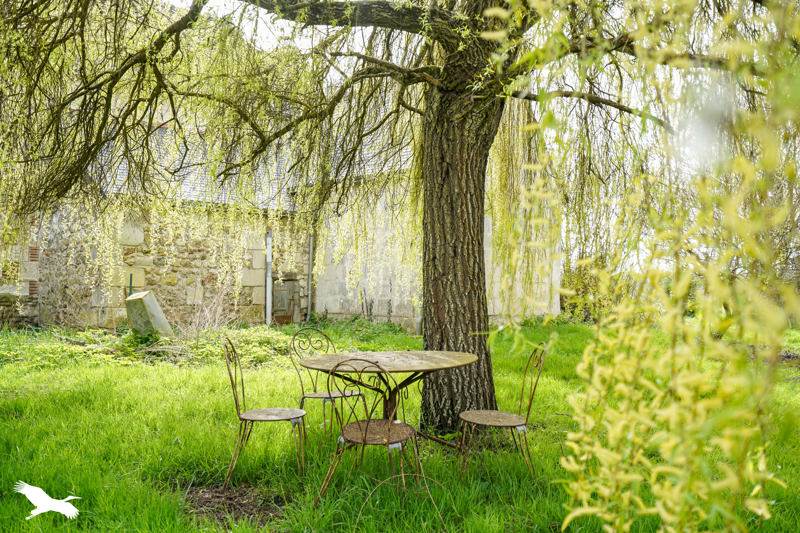 Vente Maison BERTHENAY - 7 pièces -250 m² - (37510)