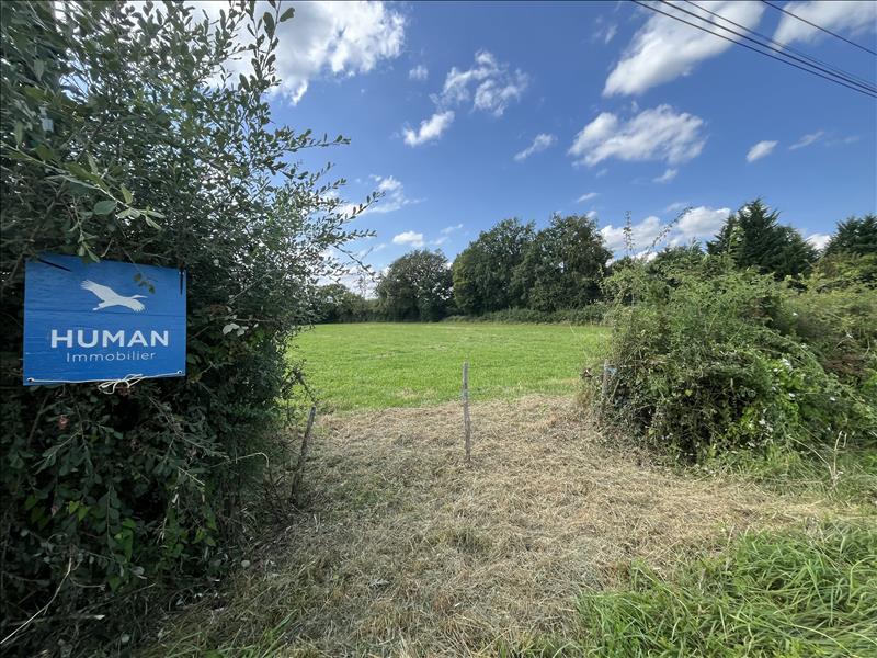 Vente Terrain ST DENIS DE JOUHET - -7780 m² - (36230)