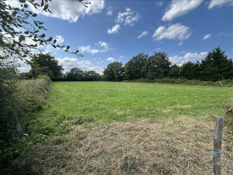 Vente Terrain ST DENIS DE JOUHET - -7780 m² - (36230)
