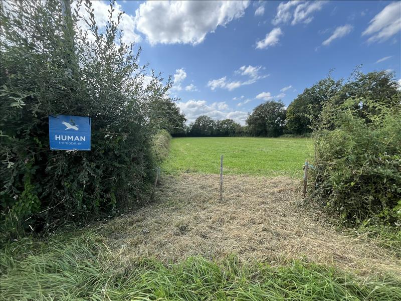 Vente Terrain ST DENIS DE JOUHET - -7780 m² - (36230)