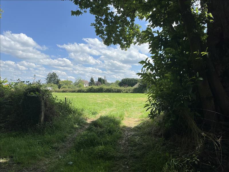 Vente Terrain ST DENIS DE JOUHET - -7780 m² - (36230)