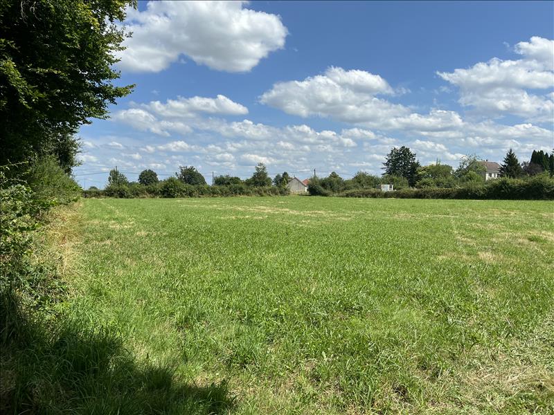 Vente Terrain ST DENIS DE JOUHET - -7780 m² - (36230)