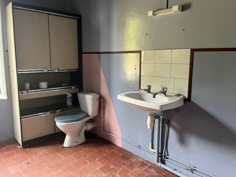 Vente Maison CHATEAUMEILLANT - 11 pièces -165 m² - (18370)