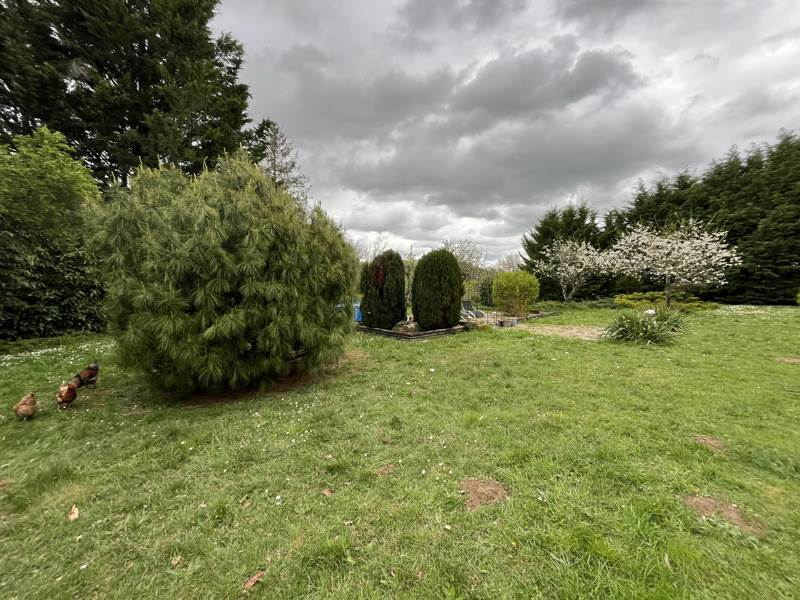 Vente Maison ST SATURNIN - 10 pièces -180 m² - (18370)