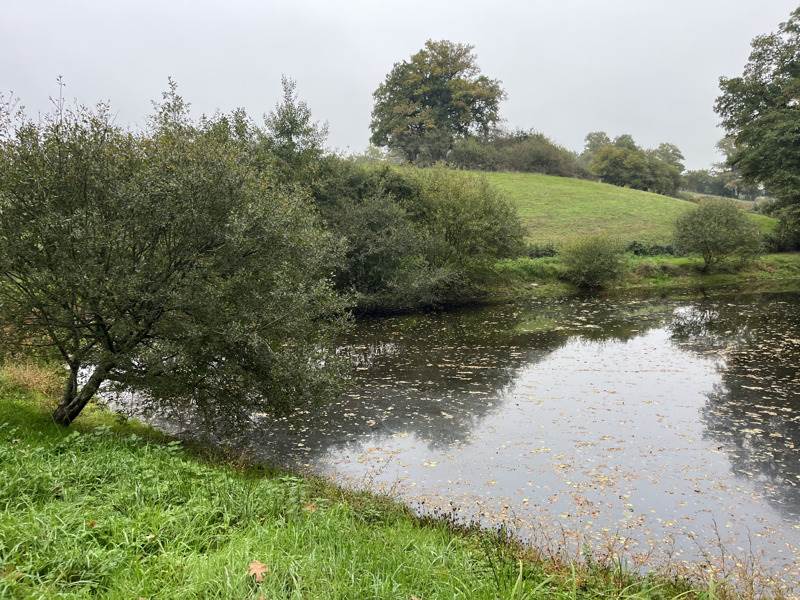 Vente Terrain ST PRIEST LA MARCHE - -5735 m² - (18370)