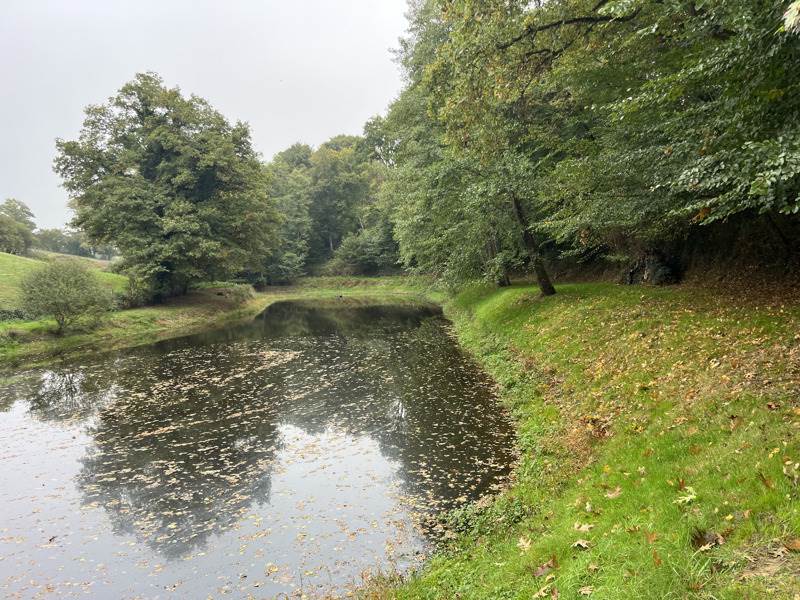 Vente Terrain ST PRIEST LA MARCHE - -5735 m² - (18370)