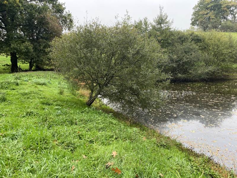 Vente Terrain ST PRIEST LA MARCHE - -5735 m² - (18370)
