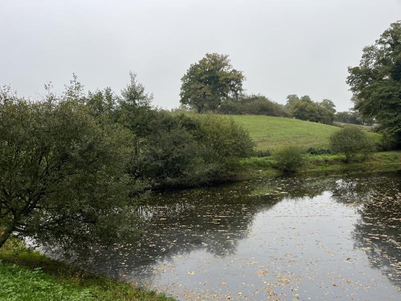 Vente Terrain ST PRIEST LA MARCHE - -5735 m² - (18370)