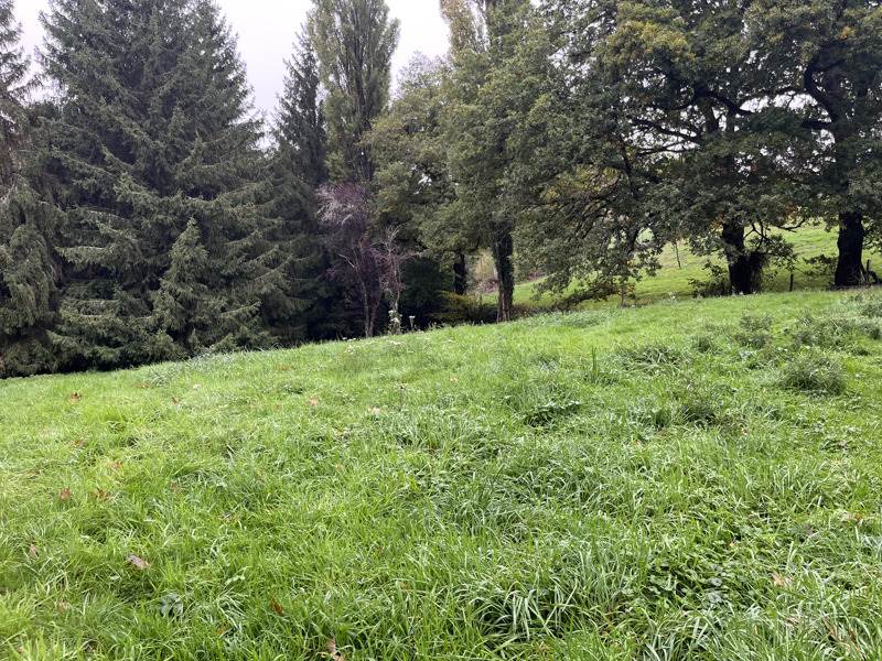 Vente Terrain ST PRIEST LA MARCHE - -5735 m² - (18370)