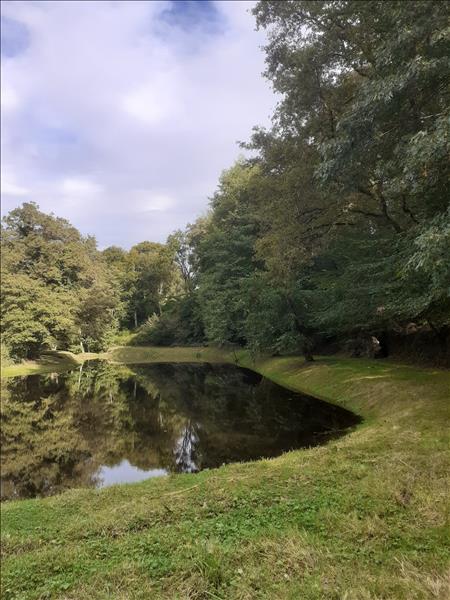 Vente Terrain ST PRIEST LA MARCHE - -5735 m² - (18370)
