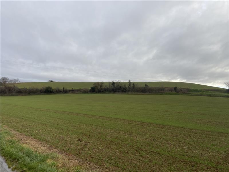 Vente Terrain ST MICHEL DE LANES - -14000 m² - (11410)
