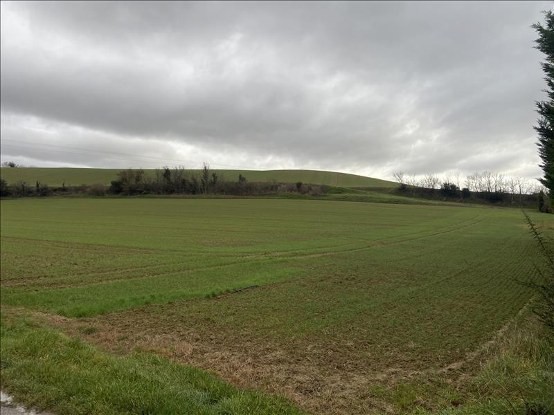 Vente Terrain ST MICHEL DE LANES - -14000 m² - (11410)