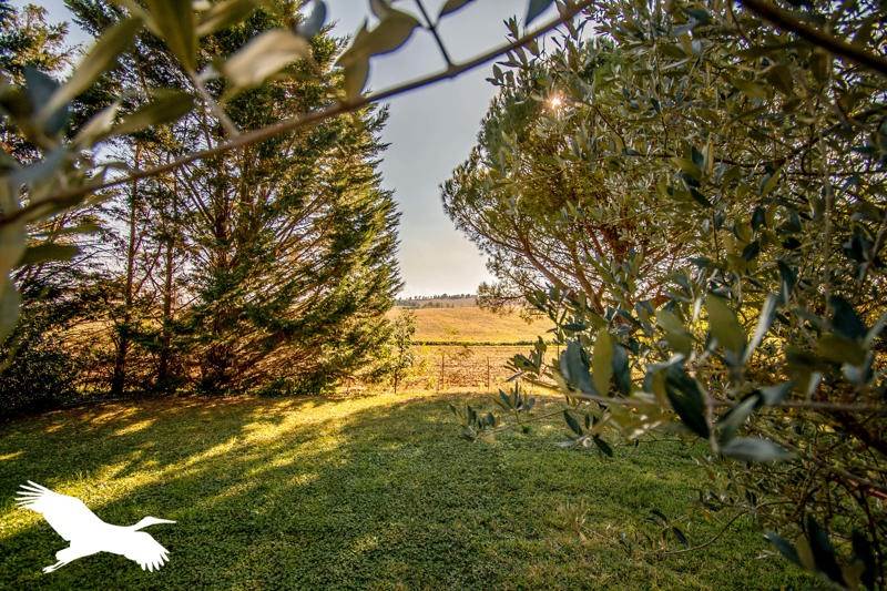 Vente Maison AVIGNONET LAURAGAIS - 5 pièces -140 m² - (31290)