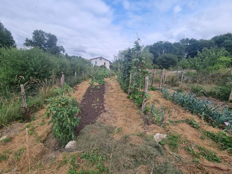 Vente Maison PAMIERS - 18 pièces -374 m² - (09100)
