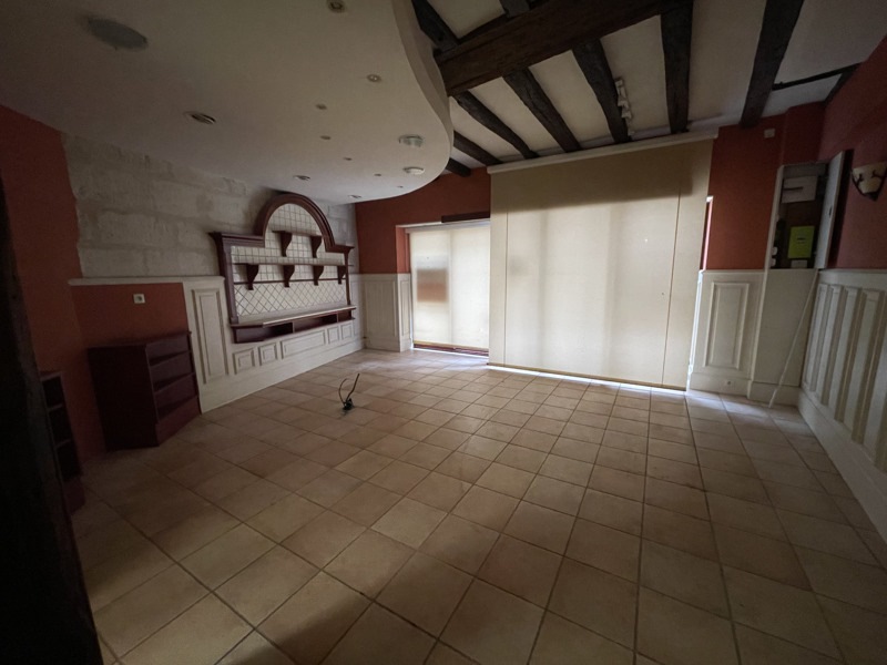 Vente Immeuble AMBOISE - -  241 m² - (37400)