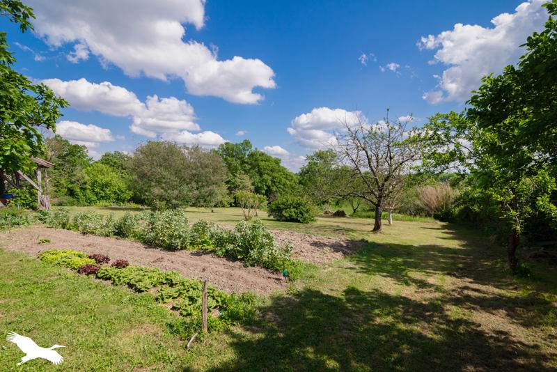 Vente Maison ST LYS - 10 pièces -327 m² - (31470)