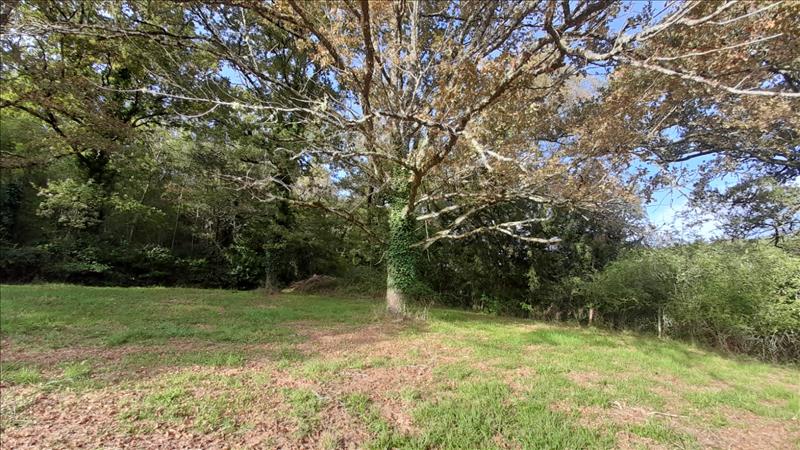 Vente Maison CARSAC AILLAC - 4 pièces -140 m² - (24200)