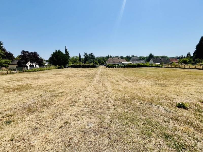 Vente Terrain CHENONCEAUX - -712 m² - (37150)
