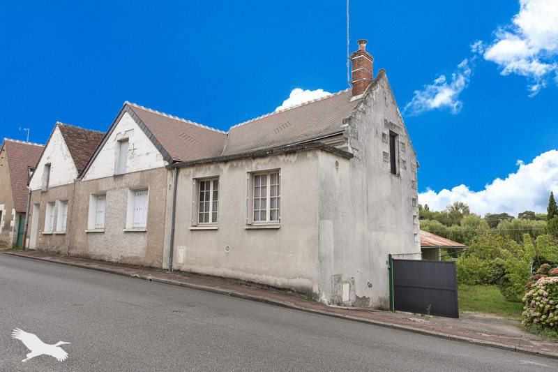 Vente Maison CHISSEAUX 37150 8 pièces - 238 m²