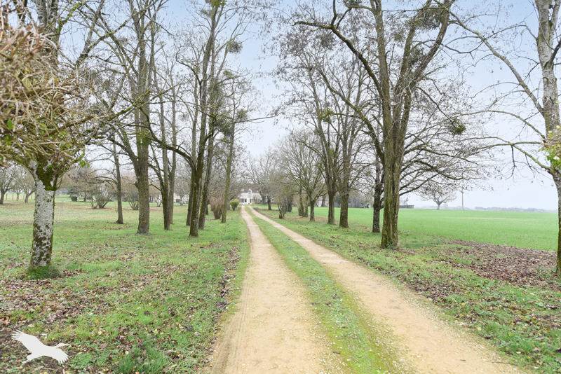 Vente Maison CHEDIGNY - 7 pièces -156 m² - (37310)