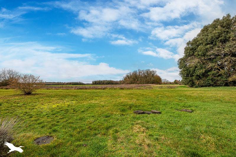 Vente Maison ATHEE SUR CHER - 4 pièces -93 m² - (37270)