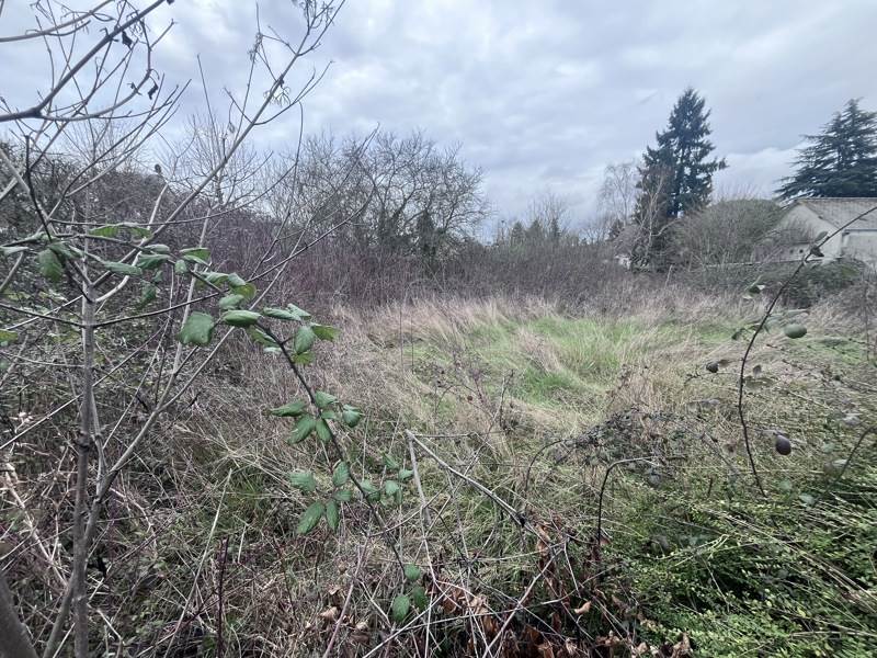 Terrain Saint-Avertin