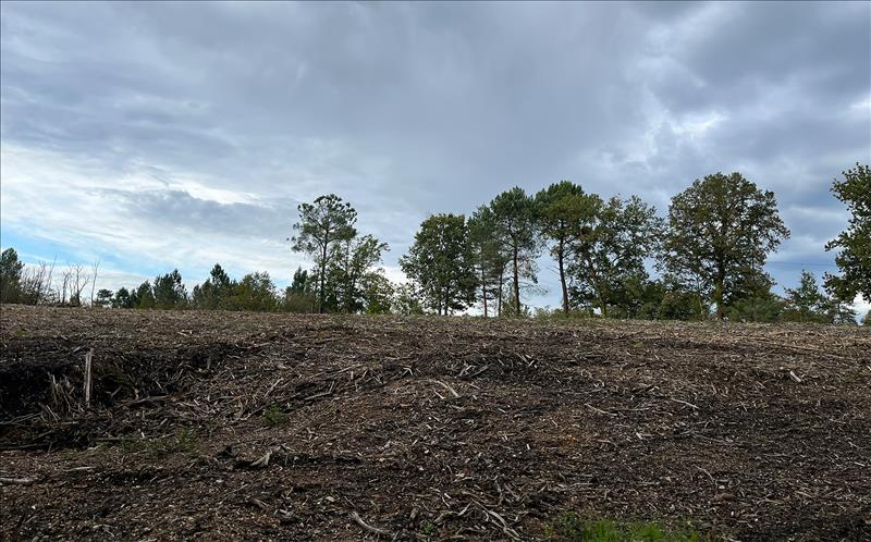 Vente Terrain ST AQUILIN - -1500 m² - (24110)