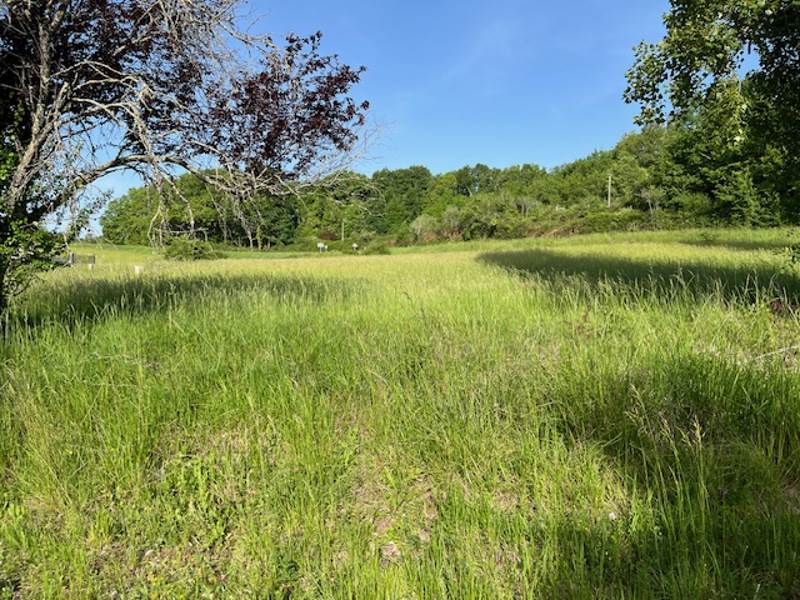 Vente Terrain ST ASTIER - -1138 m² - (24110)