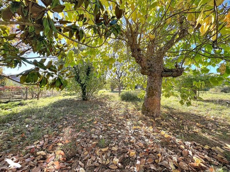 Vente Maison Saint-Astier - 6 pièces -156 m² - (24110)