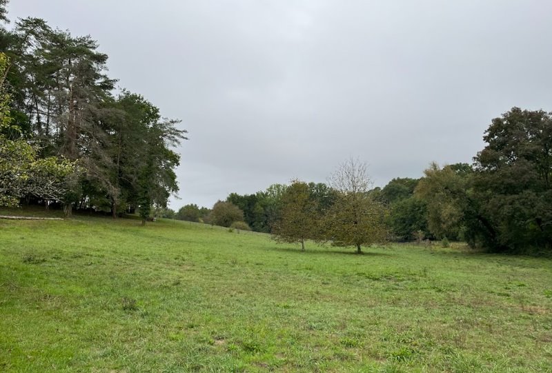 Vente Terrain Saint-Germain-du-Salembre - -6088 m² - (24190)