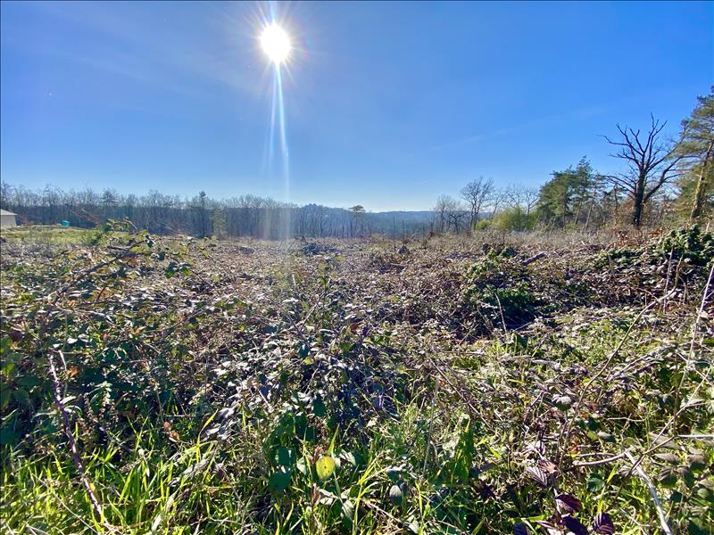 Vente Terrain BRIVE LA GAILLARDE - -1661 m² - (19100)