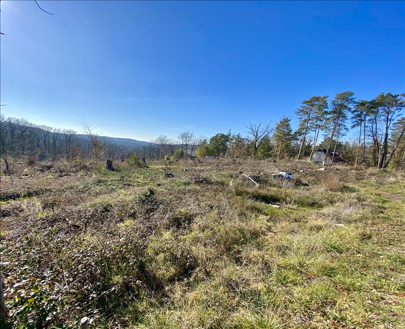 Vente Terrain BRIVE LA GAILLARDE - -1550 m² - (19100)