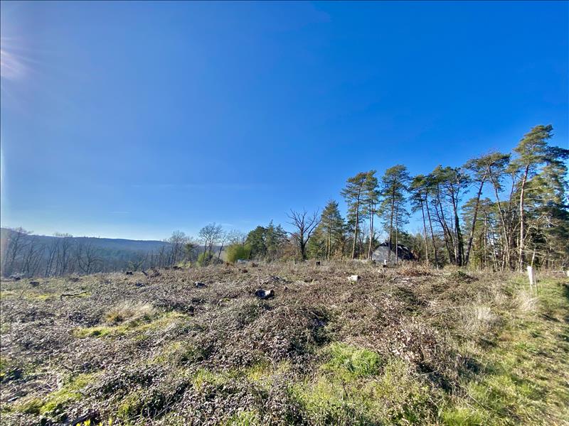 Vente Terrain BRIVE LA GAILLARDE - -1333 m² - (19100)