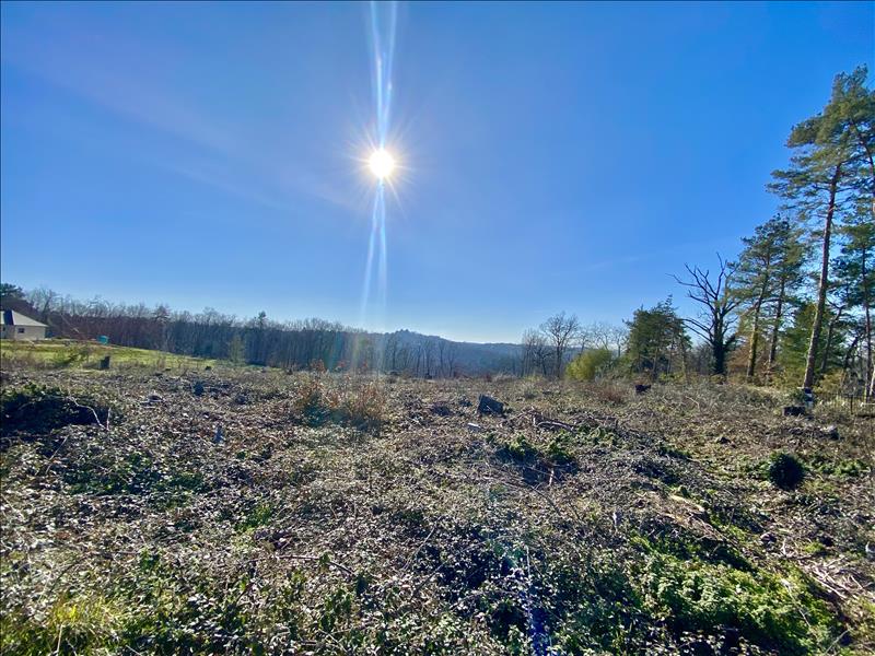 Vente Terrain BRIVE LA GAILLARDE - -1333 m² - (19100)