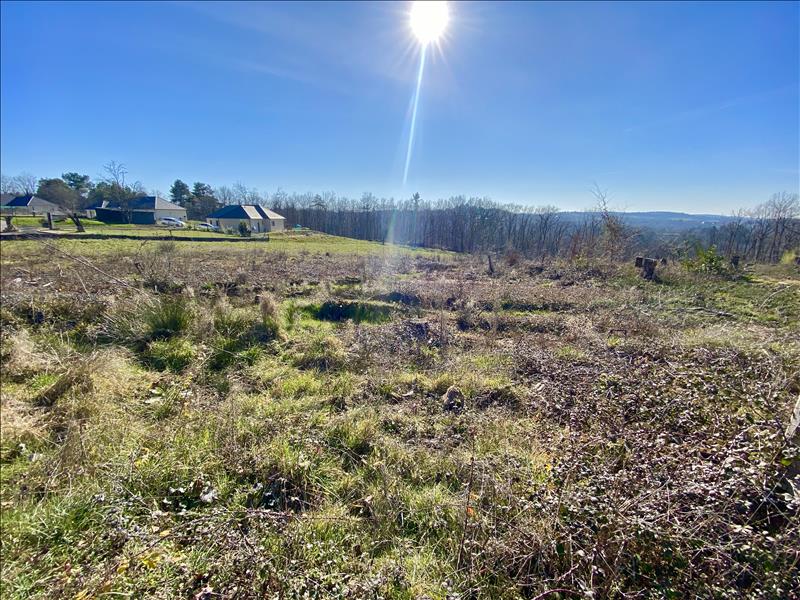 Vente Terrain BRIVE LA GAILLARDE - -1333 m² - (19100)